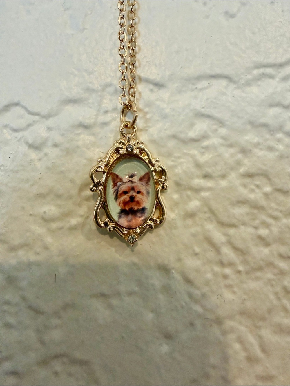 Gold Pet Photo Pendant Necklace - Cat
